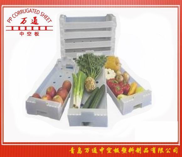 <strong>中空板水果包装箱</strong>